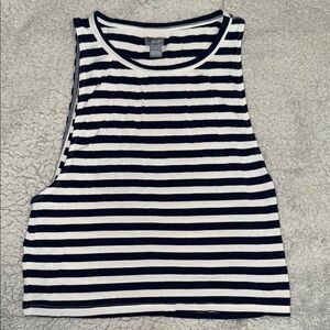 Aerie Blue and White Crop Tank Top Relaxed Fit